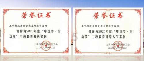 如何选一只品相好的哈士奇?看它头上的“三把火”准没错